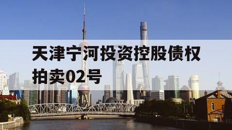 天津宁河投资控股债权拍卖02号