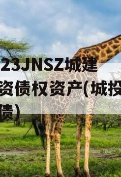 2023JNSZ城建投资债权资产(城投企业债)