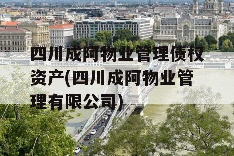 四川成阿物业管理债权资产(四川成阿物业管理有限公司)