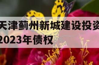 天津蓟州新城建设投资2023年债权