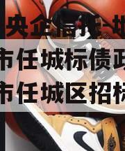 国企+央企信托-地级济宁市任城标债政信（济宁市任城区招标公告）