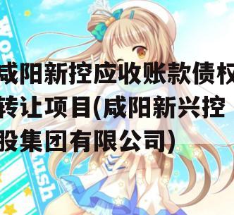 咸阳新控应收账款债权转让项目(咸阳新兴控股集团有限公司)