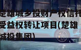楚雄城乡投财产权信托受益权转让项目(楚雄城投集团)