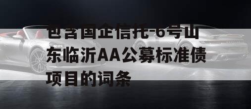 包含国企信托-6号山东临沂AA公募标准债项目的词条