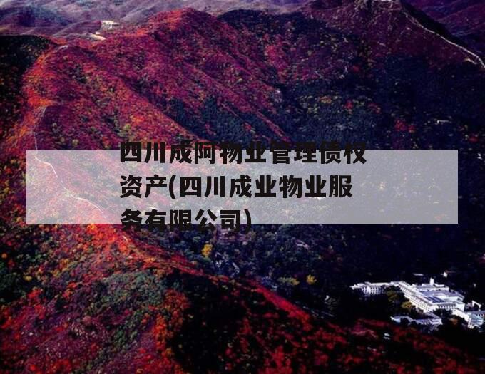 四川成阿物业管理债权资产(四川成业物业服务有限公司)