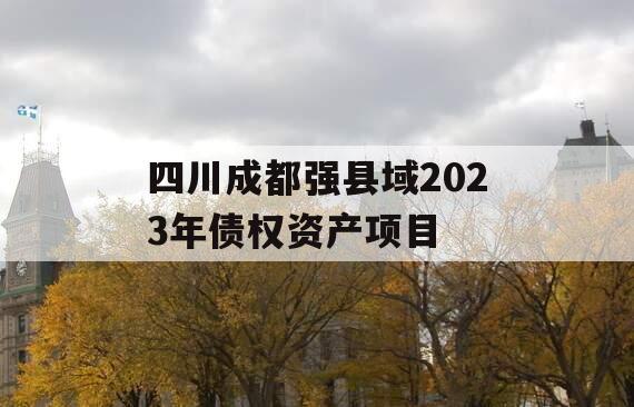四川成都强县域2023年债权资产项目