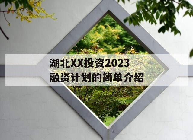 湖北XX投资2023融资计划的简单介绍