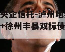 国央企信托-泸州地级市+徐州丰县双标债信托