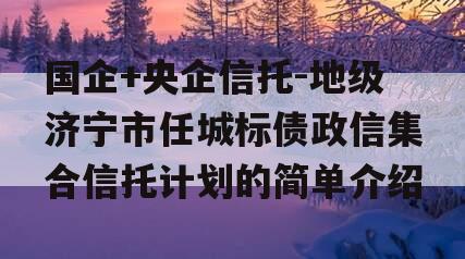 国企+央企信托-地级济宁市任城标债政信集合信托计划的简单介绍