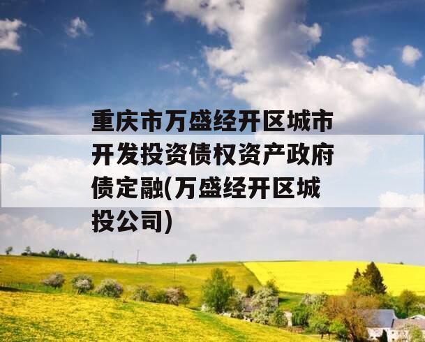 重庆市万盛经开区城市开发投资债权资产政府债定融(万盛经开区城投公司)