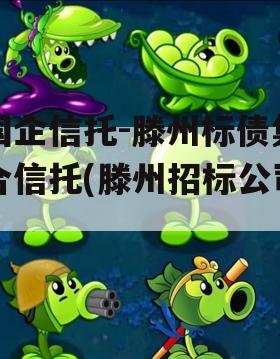国企信托-滕州标债集合信托(滕州招标公司)