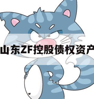 山东ZF控股债权资产