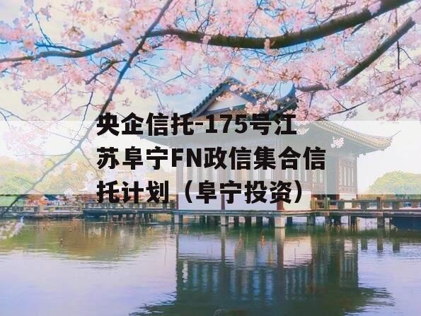 央企信托-175号江苏阜宁FN政信集合信托计划（阜宁投资）