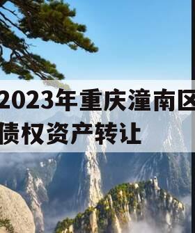 2023年重庆潼南区债权资产转让