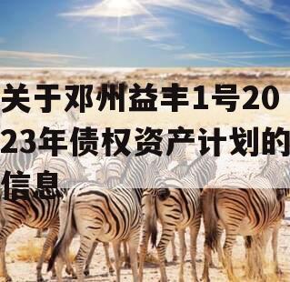 关于邓州益丰1号2023年债权资产计划的信息