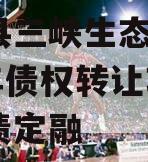 奉节县三峡生态发展2023年债权转让项目政府债定融