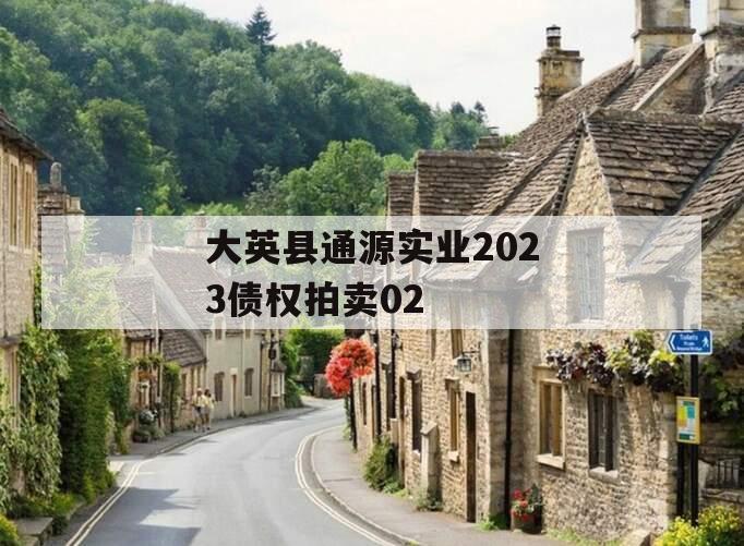 大英县通源实业2023债权拍卖02