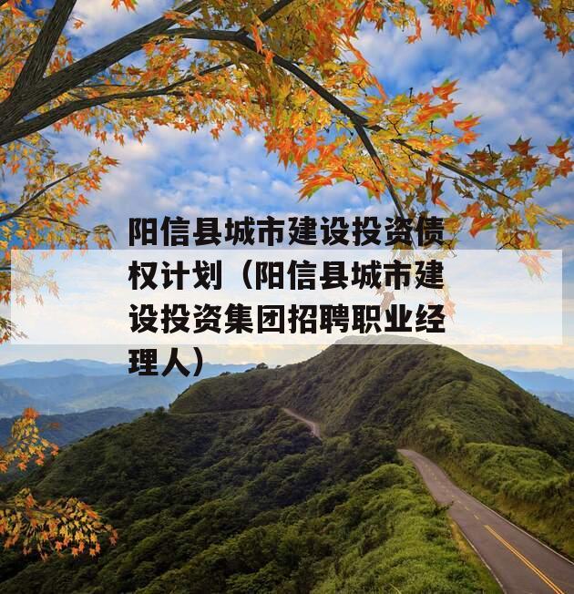 阳信县城市建设投资债权计划（阳信县城市建设投资集团招聘职业经理人）