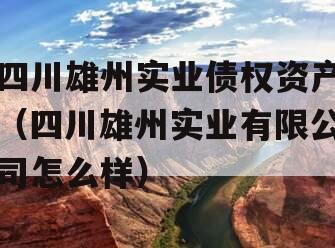 四川雄州实业债权资产（四川雄州实业有限公司怎么样）