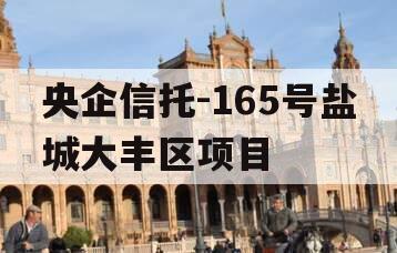 央企信托-165号盐城大丰区项目