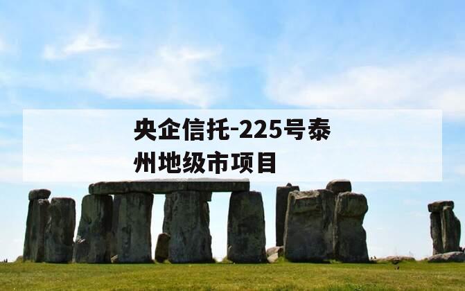 央企信托-225号泰州地级市项目