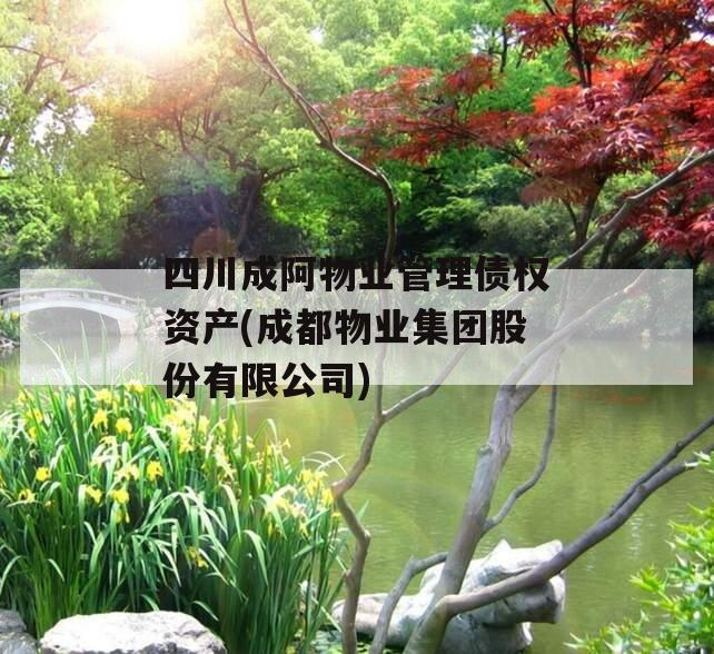 四川成阿物业管理债权资产(成都物业集团股份有限公司)