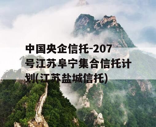 中国央企信托-207号江苏阜宁集合信托计划(江苏盐城信托)