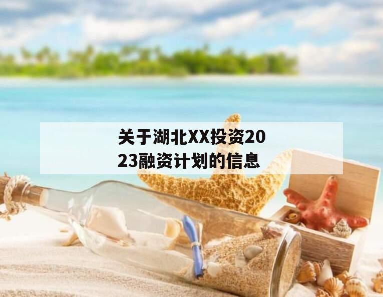 关于湖北XX投资2023融资计划的信息
