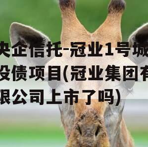央企信托-冠业1号城投债项目(冠业集团有限公司上市了吗)