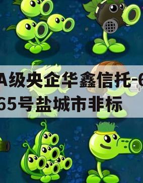 A级央企华鑫信托-665号盐城市非标