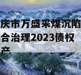 重庆市万盛采煤沉陷区综合治理2023债权资产