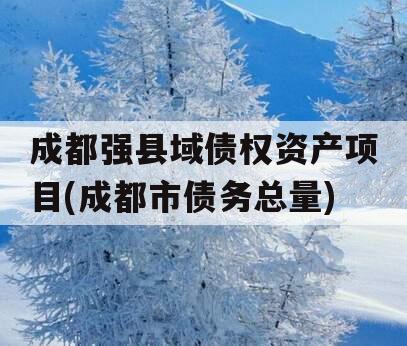 成都强县域债权资产项目(成都市债务总量)