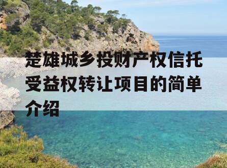 楚雄城乡投财产权信托受益权转让项目的简单介绍