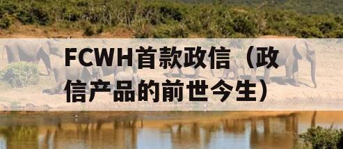 FCWH首款政信（政信产品的前世今生）