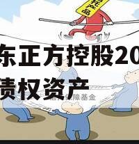 山东正方控股2023年债权资产