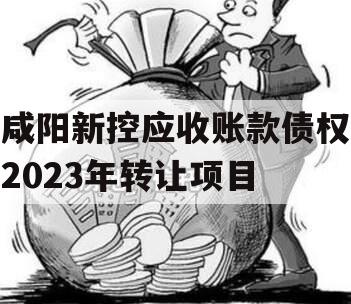 咸阳新控应收账款债权2023年转让项目