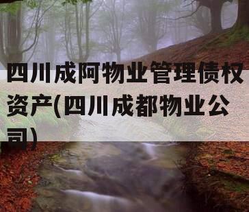 四川成阿物业管理债权资产(四川成都物业公司)