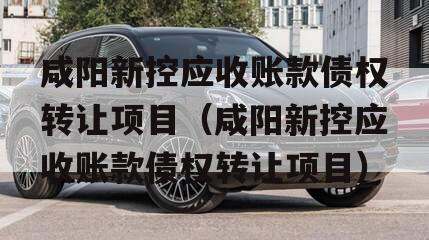 咸阳新控应收账款债权转让项目（咸阳新控应收账款债权转让项目）