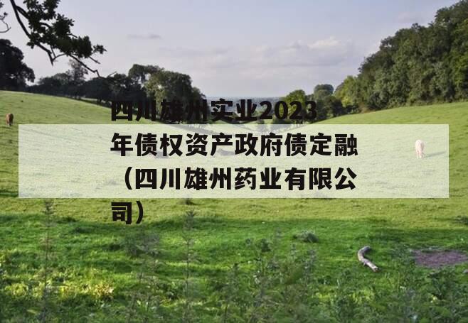四川雄州实业2023年债权资产政府债定融（四川雄州药业有限公司）