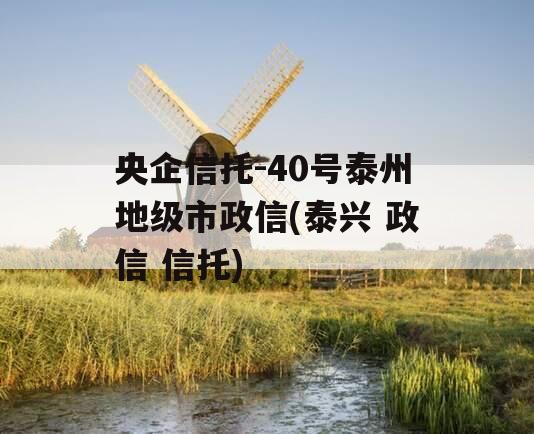 央企信托-40号泰州地级市政信(泰兴 政信 信托)