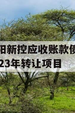 咸阳新控应收账款债权2023年转让项目