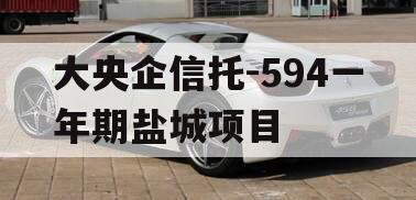 大央企信托-594一年期盐城项目