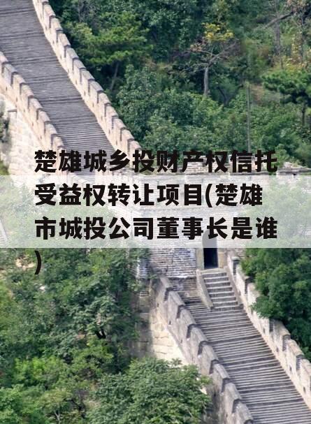 楚雄城乡投财产权信托受益权转让项目(楚雄市城投公司董事长是谁)