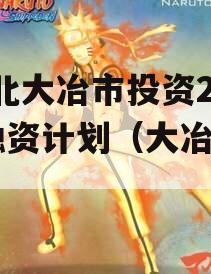 湖北大冶市投资2023融资计划（大冶 项目）