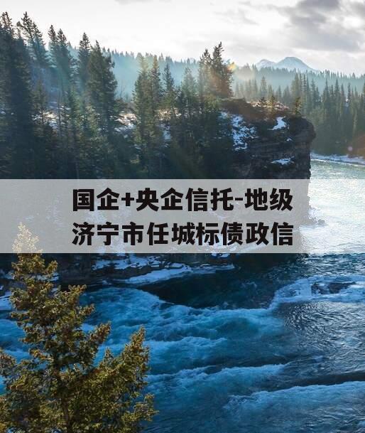 国企+央企信托-地级济宁市任城标债政信