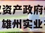四川雄州实业2023年债权资产政府债定融（四川雄州实业有限公司董事长）