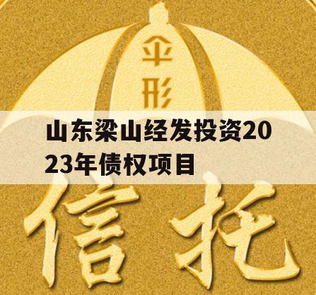 山东梁山经发投资2023年债权项目