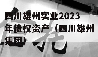 四川雄州实业2023年债权资产（四川雄州集团）