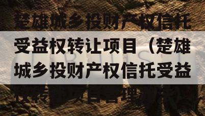 楚雄城乡投财产权信托受益权转让项目（楚雄城乡投财产权信托受益权转让项目管理办法）