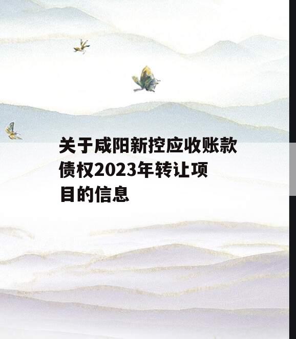 关于咸阳新控应收账款债权2023年转让项目的信息